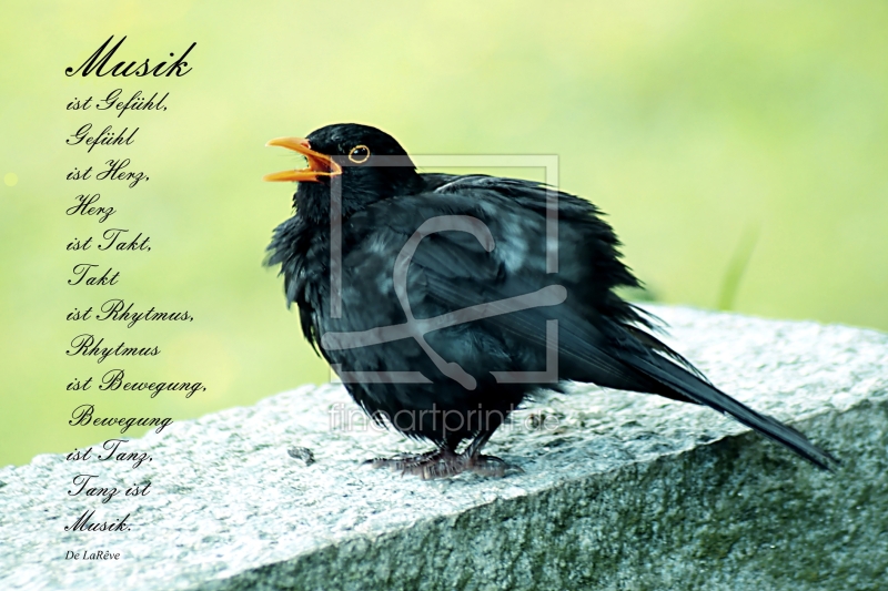 frei wählbarer Bildausschnitt für Ihr Bild auf Label