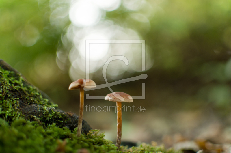 frei w&auml;hlbarer Bildausschnitt f&uuml;r Ihr Bild auf Label