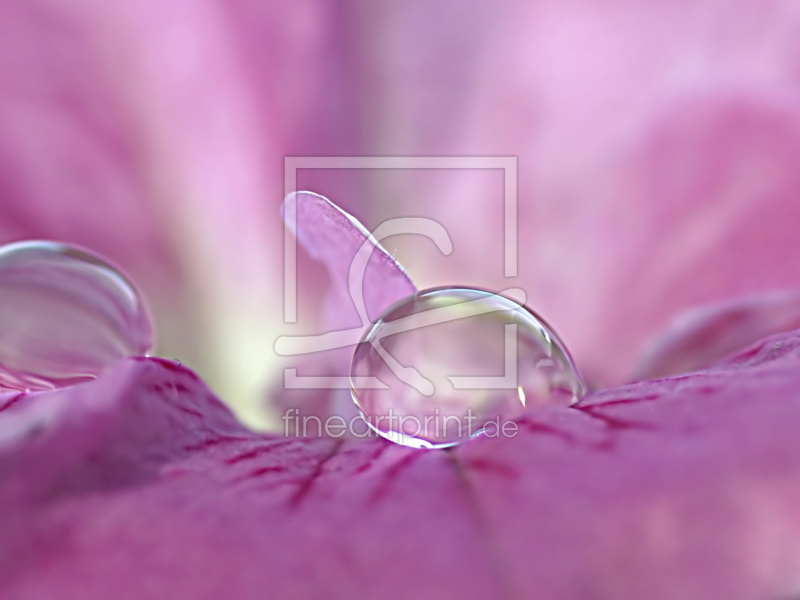 frei wählbarer Bildausschnitt für Ihr Bild auf Label