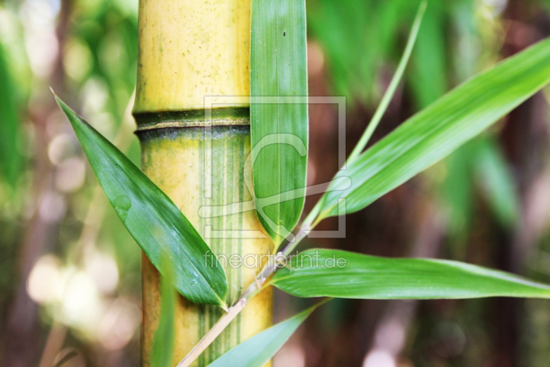 frei wählbarer Bildausschnitt für Ihr Bild auf Label