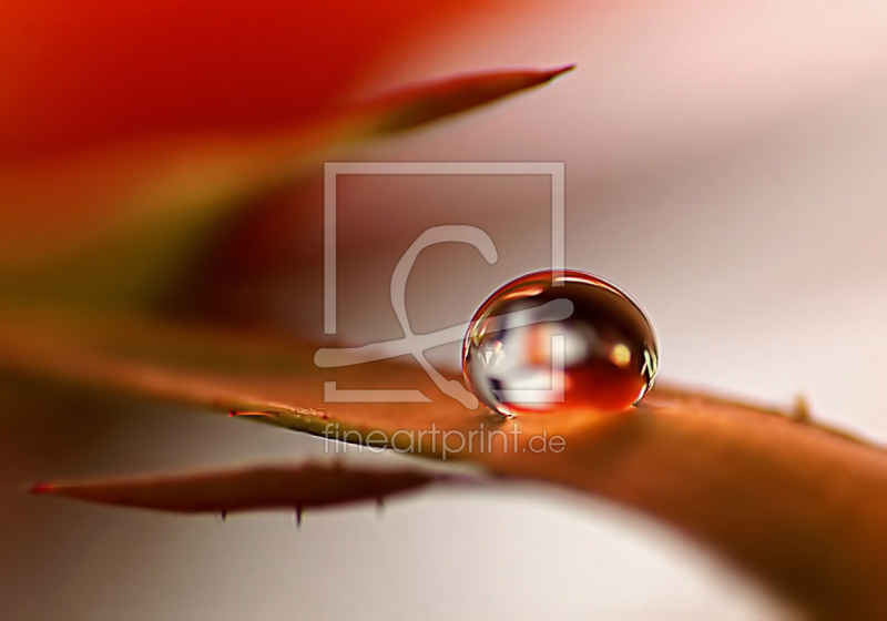 frei wählbarer Bildausschnitt für Ihr Bild auf Label