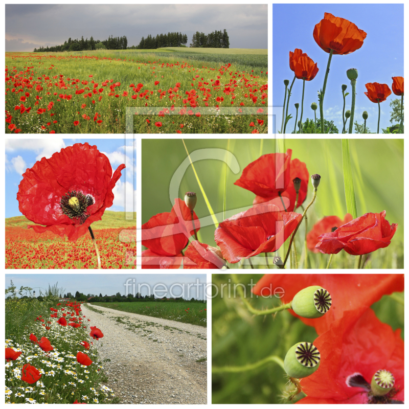 frei wählbarer Bildausschnitt für Ihr Bild auf Label