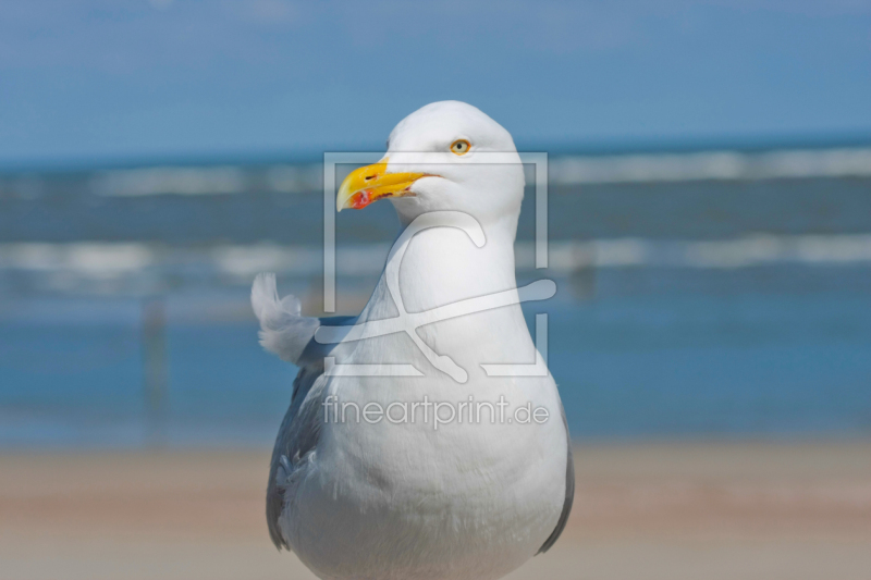 frei wählbarer Bildausschnitt für Ihr Bild auf Label