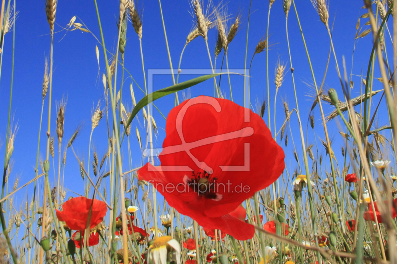 frei wählbarer Bildausschnitt für Ihr Bild auf Label