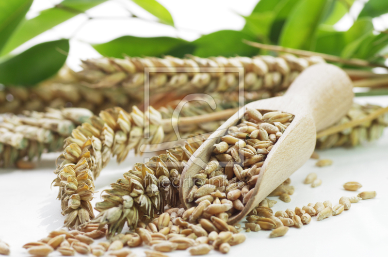 frei wählbarer Bildausschnitt für Ihr Bild auf Label