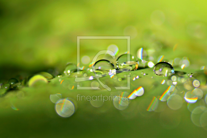 frei wählbarer Bildausschnitt für Ihr Bild auf Label