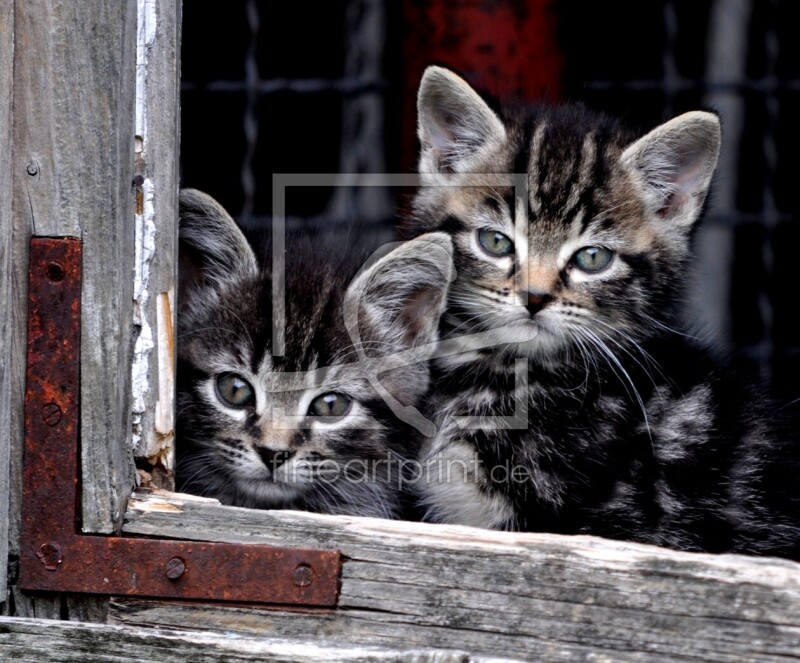 frei w&auml;hlbarer Bildausschnitt f&uuml;r Ihr Bild auf Label