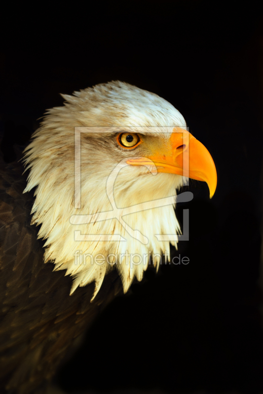 frei wählbarer Bildausschnitt für Ihr Bild auf Label