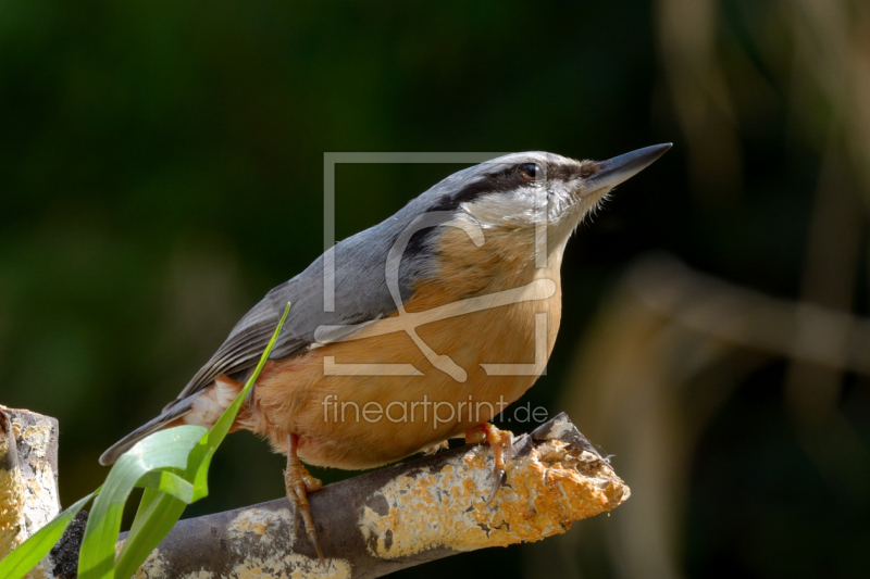 frei wählbarer Bildausschnitt für Ihr Bild auf Label