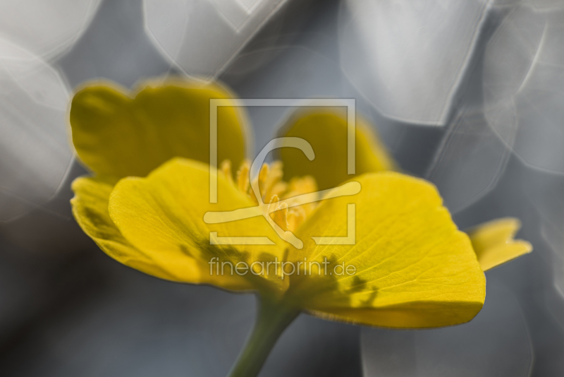 frei w&auml;hlbarer Bildausschnitt f&uuml;r Ihr Bild auf Label