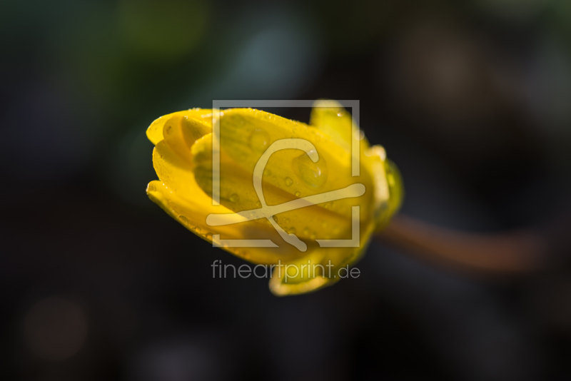 frei w&auml;hlbarer Bildausschnitt f&uuml;r Ihr Bild auf Label