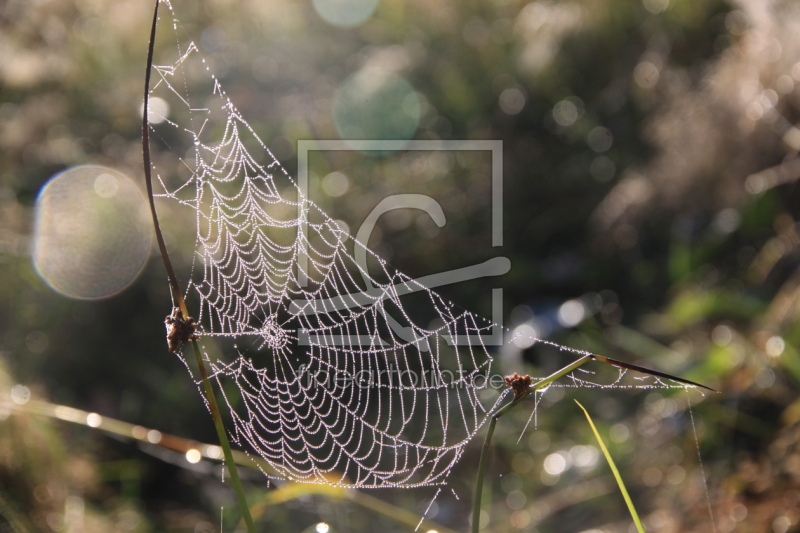 frei w&auml;hlbarer Bildausschnitt f&uuml;r Ihr Bild auf Label