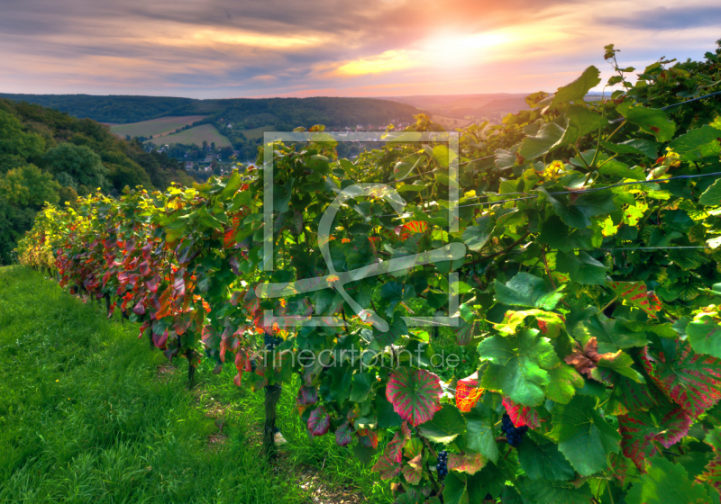 frei wählbarer Bildausschnitt für Ihr Bild auf Label