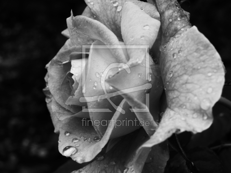 frei wählbarer Bildausschnitt für Ihr Bild auf Label