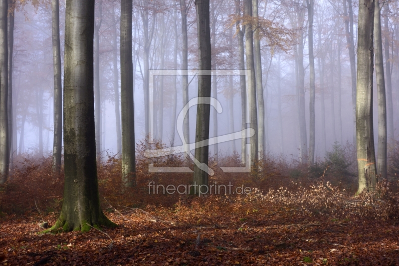 frei wählbarer Bildausschnitt für Ihr Bild auf Label