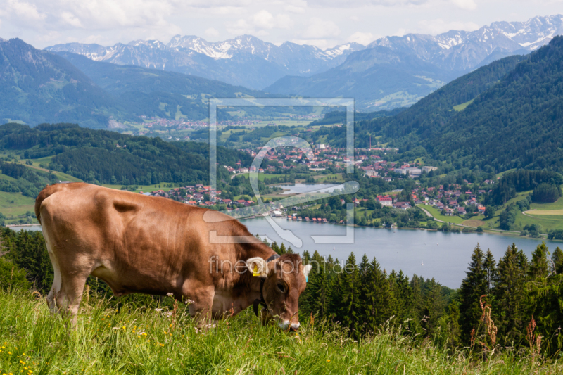 frei wählbarer Bildausschnitt für Ihr Bild auf Label