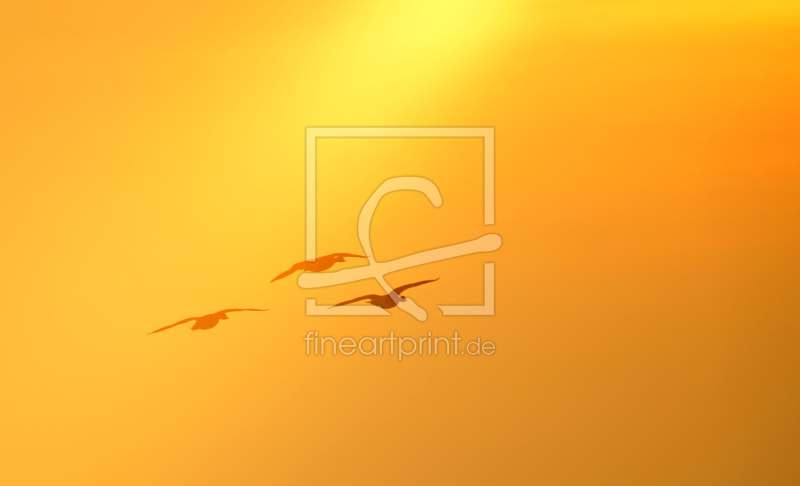 frei wählbarer Bildausschnitt für Ihr Bild auf Label