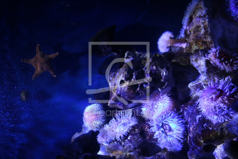 frei w&auml;hlbarer Bildausschnitt f&uuml;r Ihr Bild auf Label