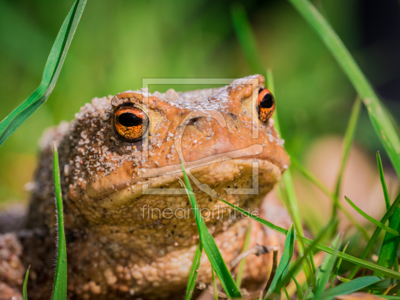 frei w&auml;hlbarer Bildausschnitt f&uuml;r Ihr Bild auf Label