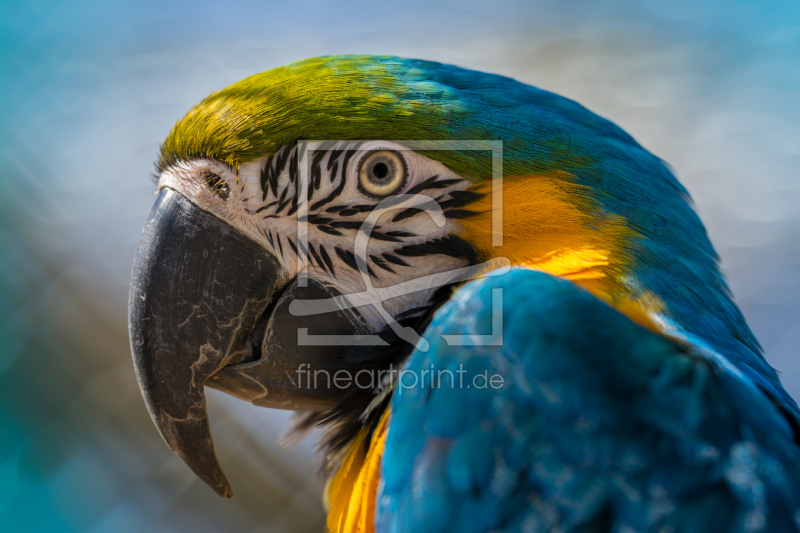 frei w&auml;hlbarer Bildausschnitt f&uuml;r Ihr Bild auf Label