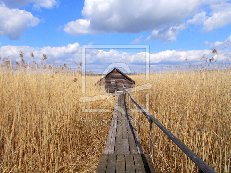 frei w&auml;hlbarer Bildausschnitt f&uuml;r Ihr Bild auf Label