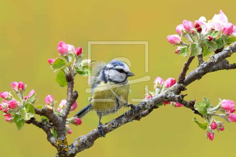 frei wählbarer Bildausschnitt für Ihr Bild auf Label
