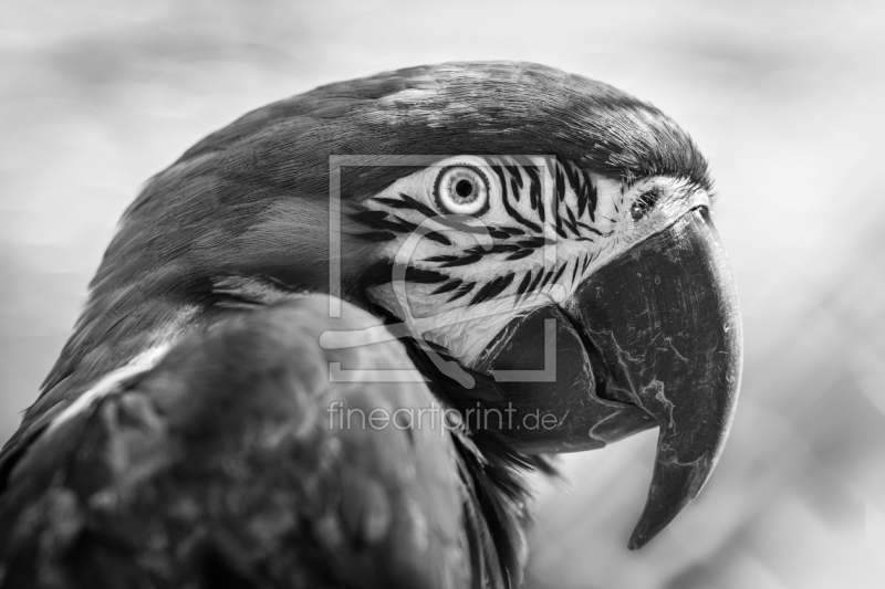 frei w&auml;hlbarer Bildausschnitt f&uuml;r Ihr Bild auf Label