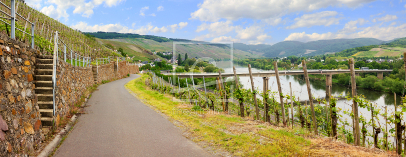 frei w&auml;hlbarer Bildausschnitt f&uuml;r Ihr Bild auf Label