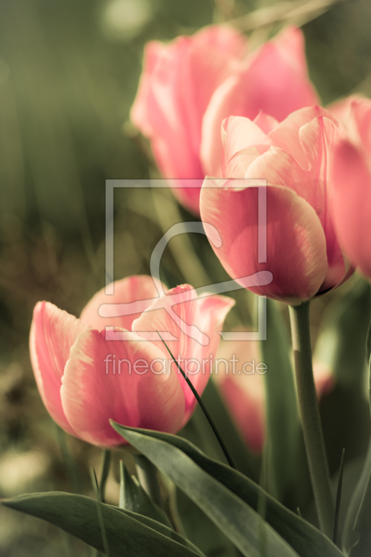 frei w&auml;hlbarer Bildausschnitt f&uuml;r Ihr Bild auf Label