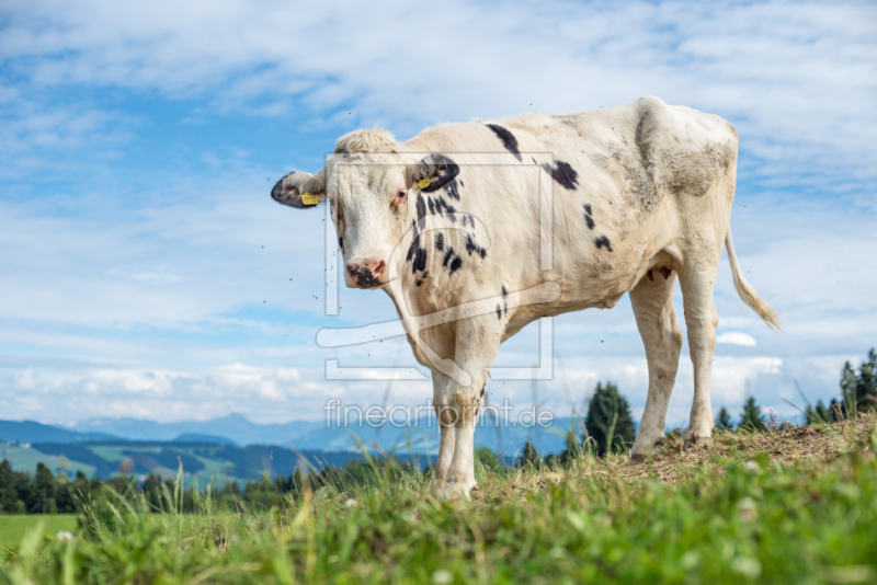 frei wählbarer Bildausschnitt für Ihr Bild auf Label