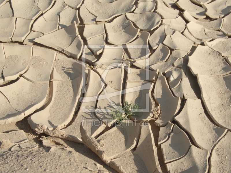 frei wählbarer Bildausschnitt für Ihr Bild auf Label