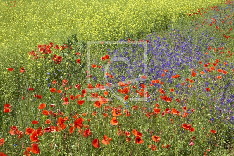 frei w&auml;hlbarer Bildausschnitt f&uuml;r Ihr Bild auf Label