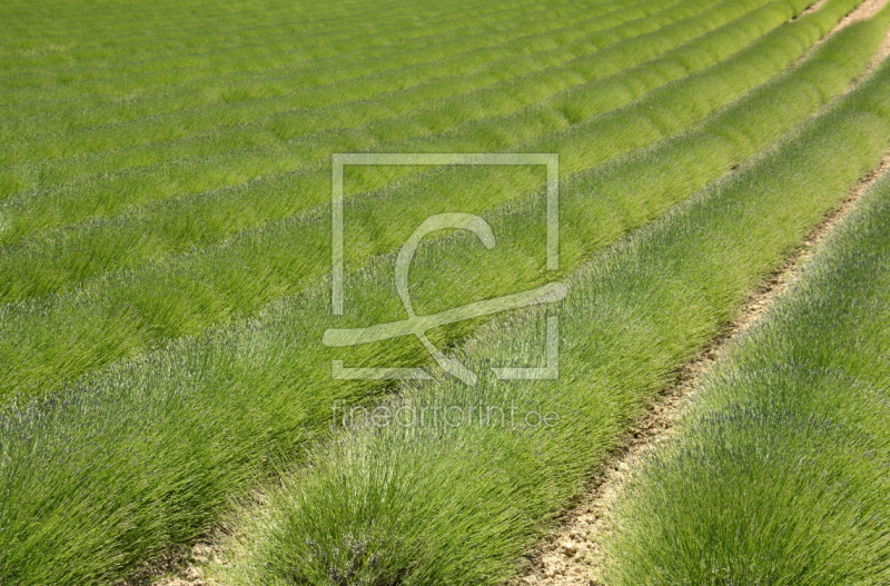 frei wählbarer Bildausschnitt für Ihr Bild auf Label