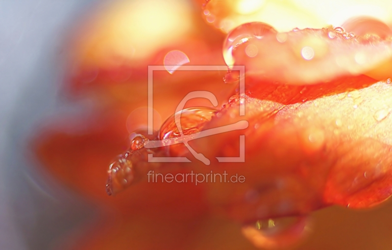 frei wählbarer Bildausschnitt für Ihr Bild auf Label