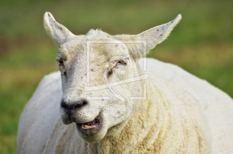 frei wählbarer Bildausschnitt für Ihr Bild auf Label