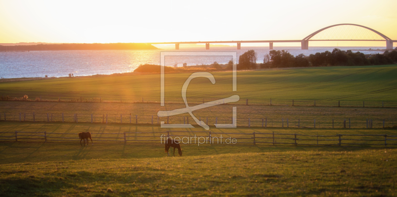 frei w&auml;hlbarer Bildausschnitt f&uuml;r Ihr Bild auf Label