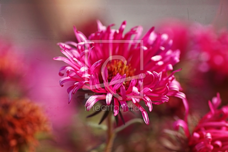 frei w&auml;hlbarer Bildausschnitt f&uuml;r Ihr Bild auf Label