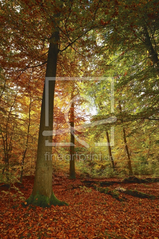 frei wählbarer Bildausschnitt für Ihr Bild auf Label