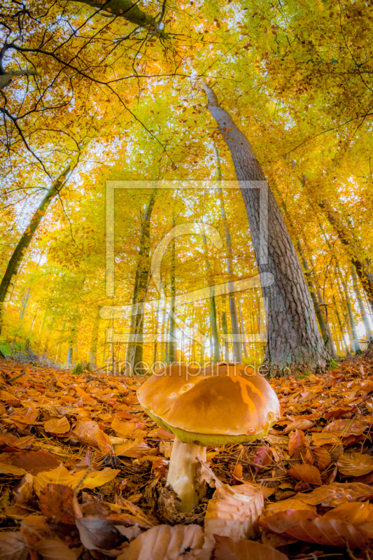 frei wählbarer Bildausschnitt für Ihr Bild auf Label