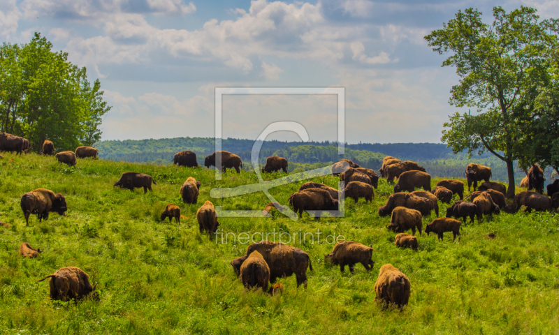 frei w&auml;hlbarer Bildausschnitt f&uuml;r Ihr Bild auf Label