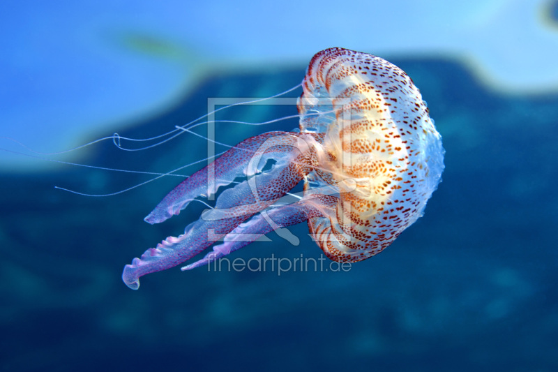 frei wählbarer Bildausschnitt für Ihr Bild auf Label