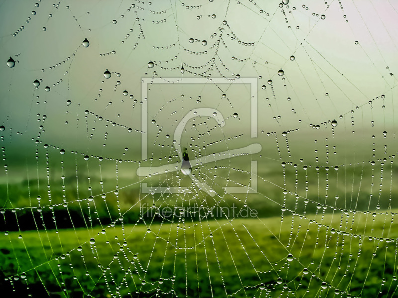 frei w&auml;hlbarer Bildausschnitt f&uuml;r Ihr Bild auf Label