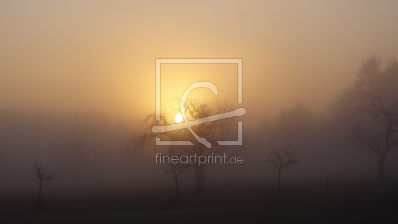 frei wählbarer Bildausschnitt für Ihr Bild auf Label