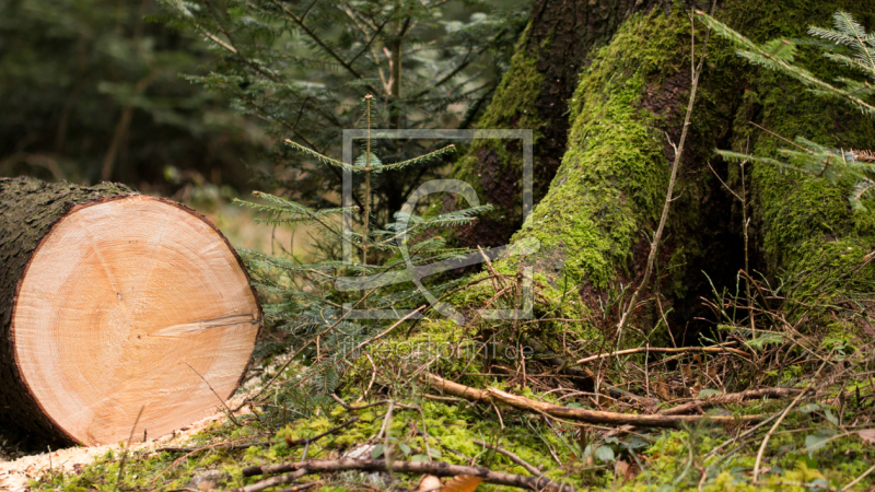 frei w&auml;hlbarer Bildausschnitt f&uuml;r Ihr Bild auf Label