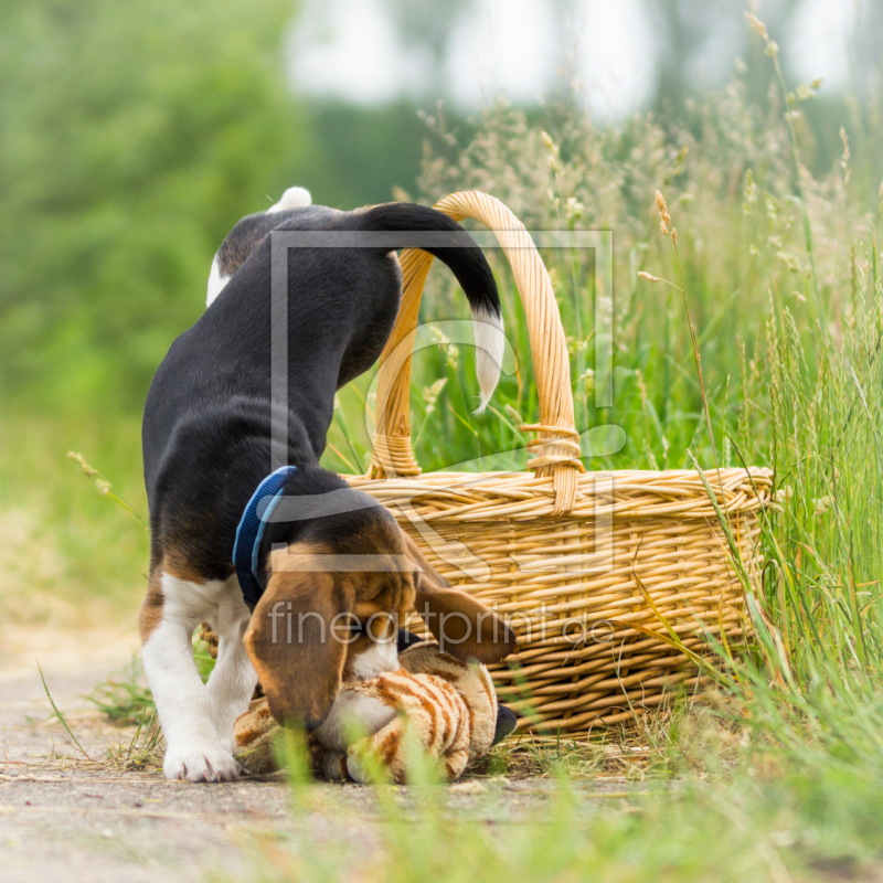 frei w&auml;hlbarer Bildausschnitt f&uuml;r Ihr Bild auf Label