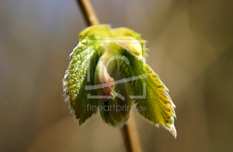 frei w&auml;hlbarer Bildausschnitt f&uuml;r Ihr Bild auf Label