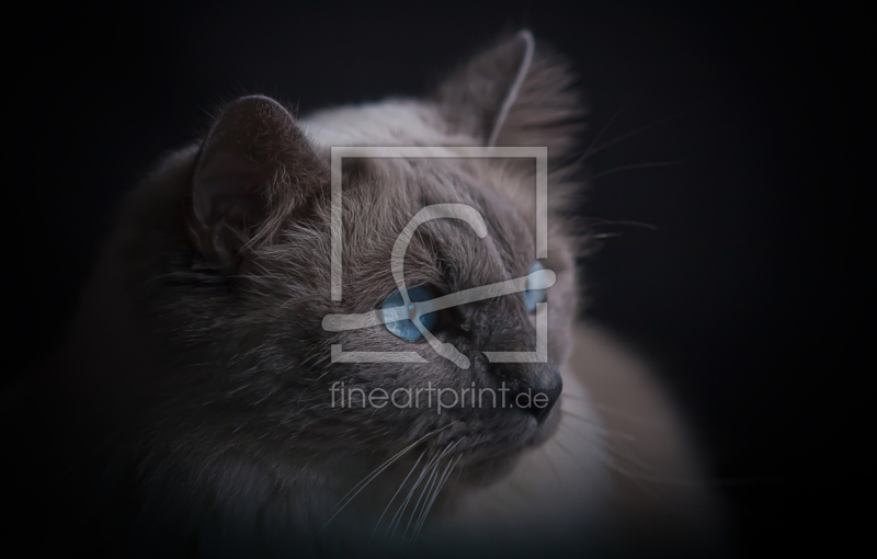 frei w&auml;hlbarer Bildausschnitt f&uuml;r Ihr Bild auf Label