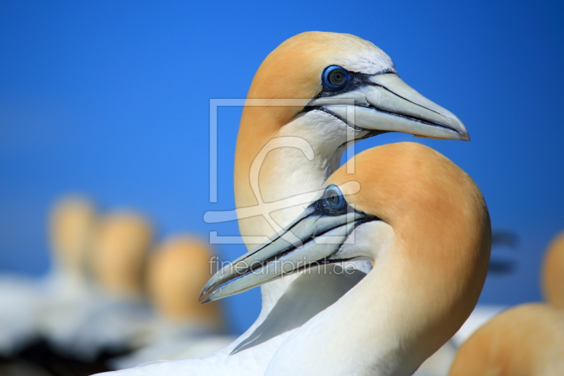 frei wählbarer Bildausschnitt für Ihr Bild auf Label