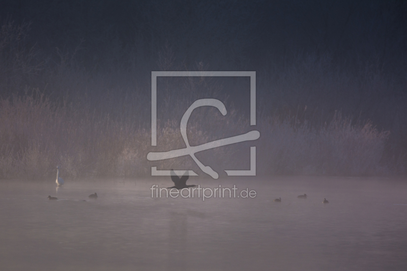 frei wählbarer Bildausschnitt für Ihr Bild auf Label