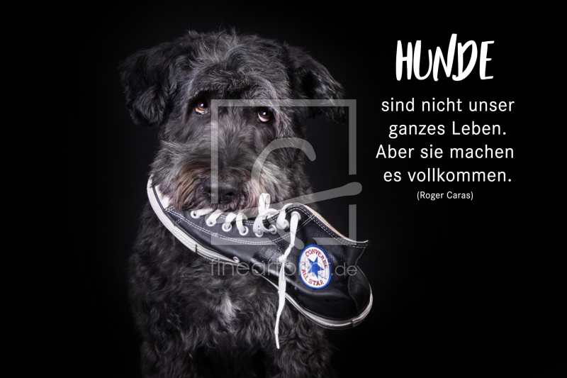 frei wählbarer Bildausschnitt für Ihr Bild auf Label